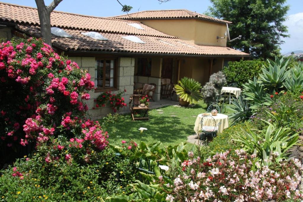 Hôtel Finca Casa Vieja à Santa Úrsula Extérieur photo
