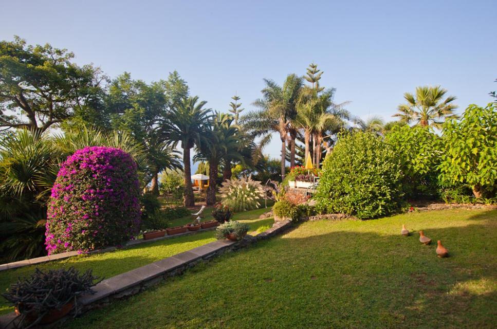 Hôtel Finca Casa Vieja à Santa Úrsula Extérieur photo