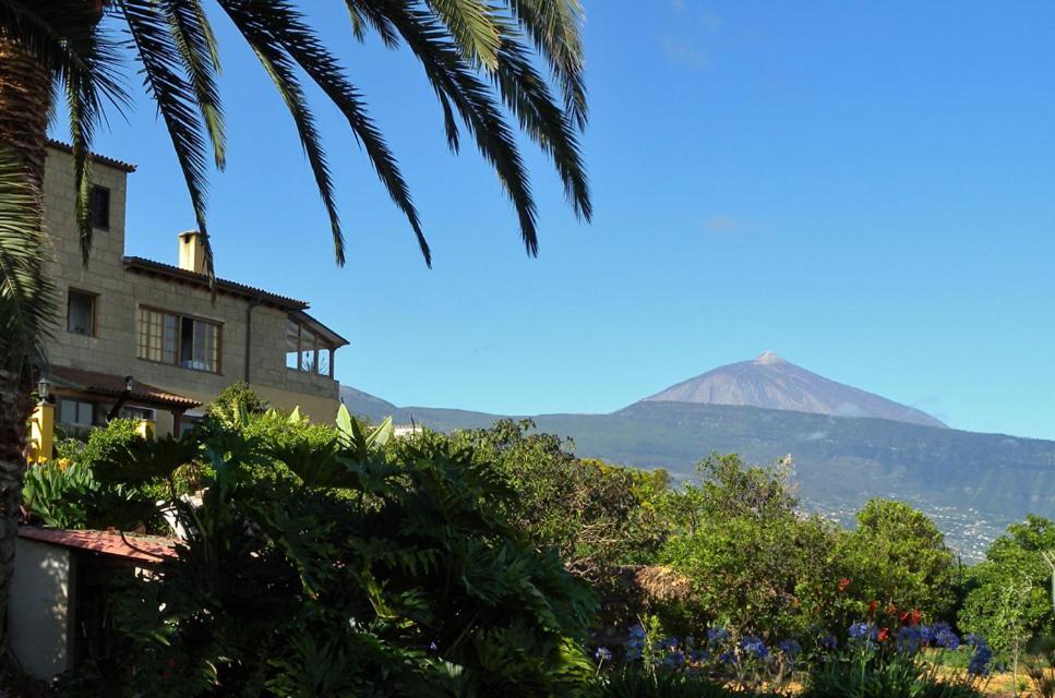 Hôtel Finca Casa Vieja à Santa Úrsula Extérieur photo