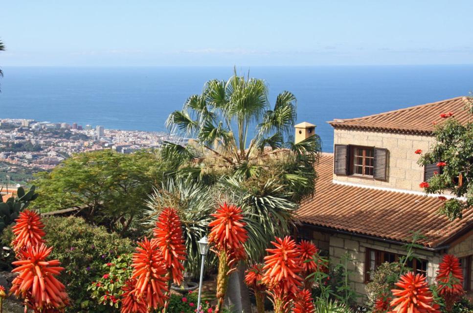 Hôtel Finca Casa Vieja à Santa Úrsula Extérieur photo
